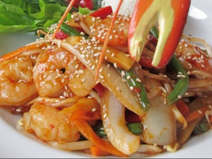 Foto: Taipan-Frechen